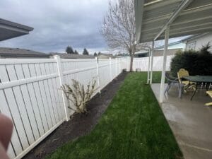 pressure washed fence surrounding yard